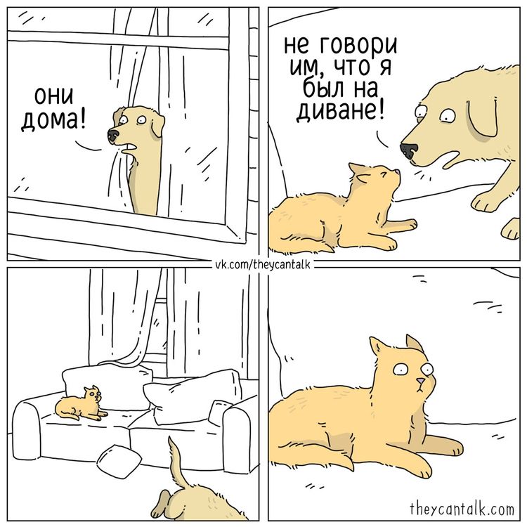 image-20260121095036-3