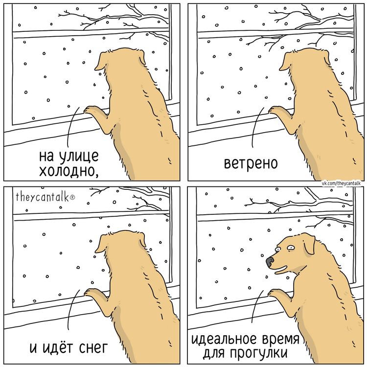 image-20260121095048-7