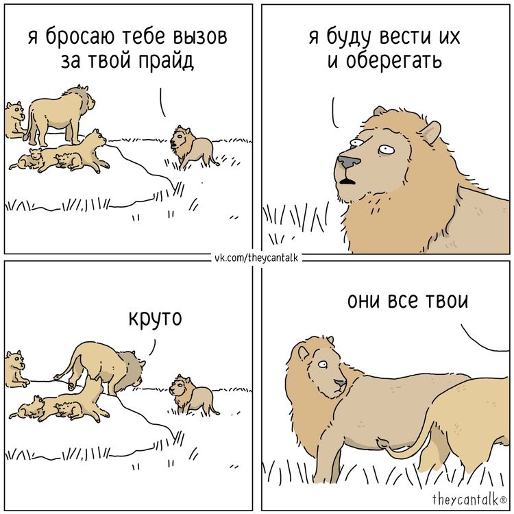 image-20260121095100-11