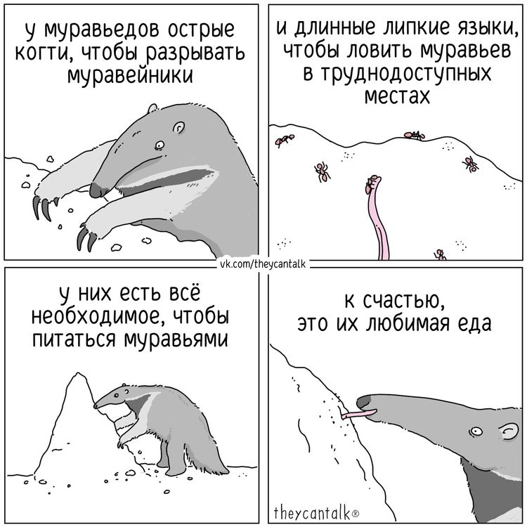 image-20260121095122-15