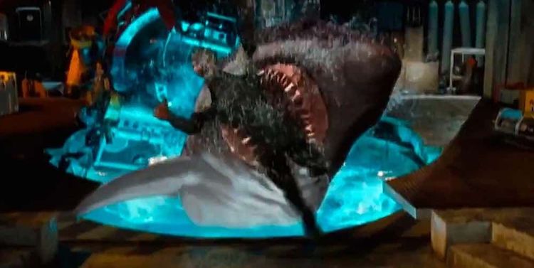 image-20260121102350-1