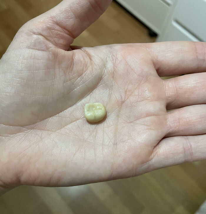 image-20260123100446-17