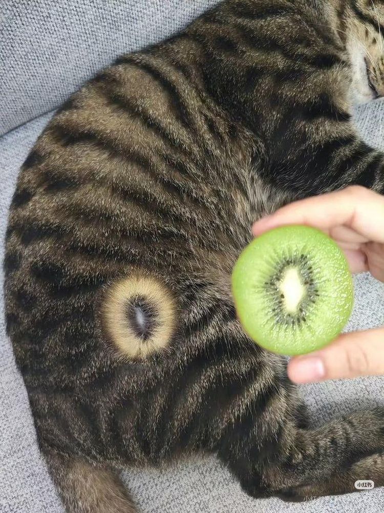 image-20260123134244-7