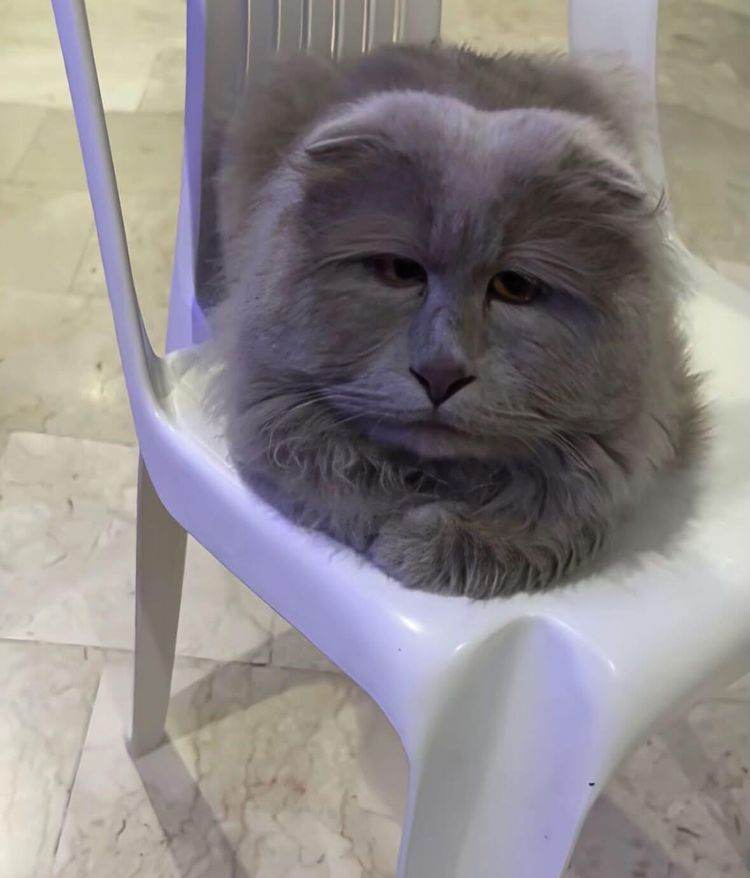 image-20260123134313-13