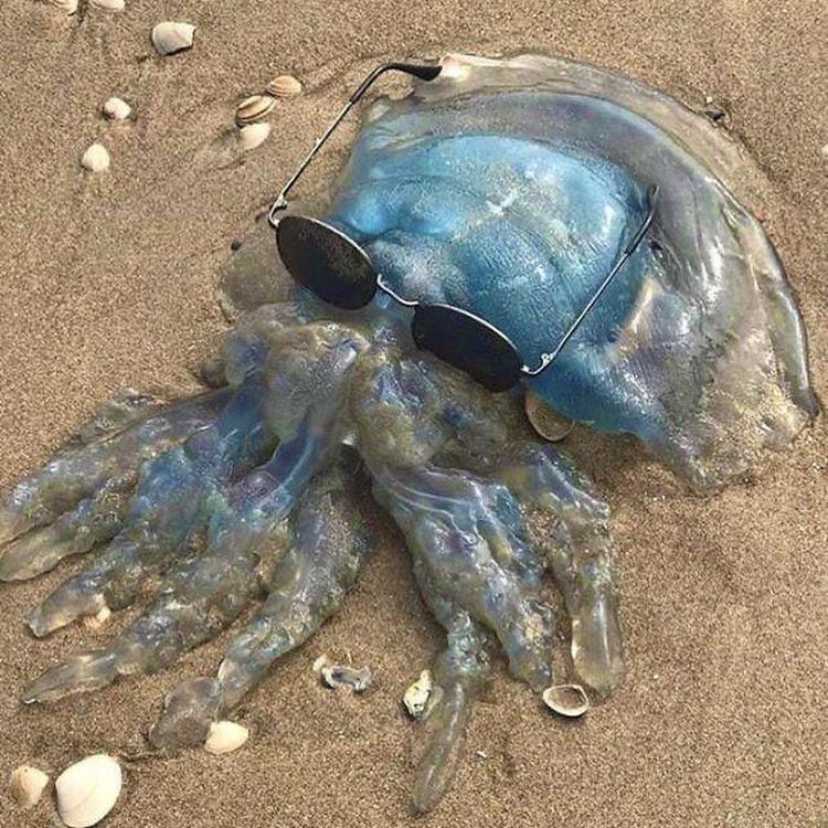 image-20260123134329-16