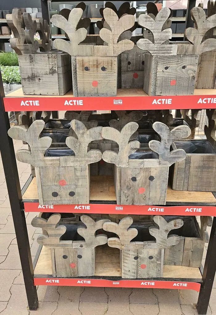 image-20260127122831-5