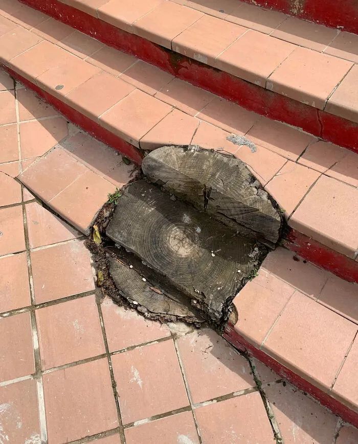 image-20260127122903-14