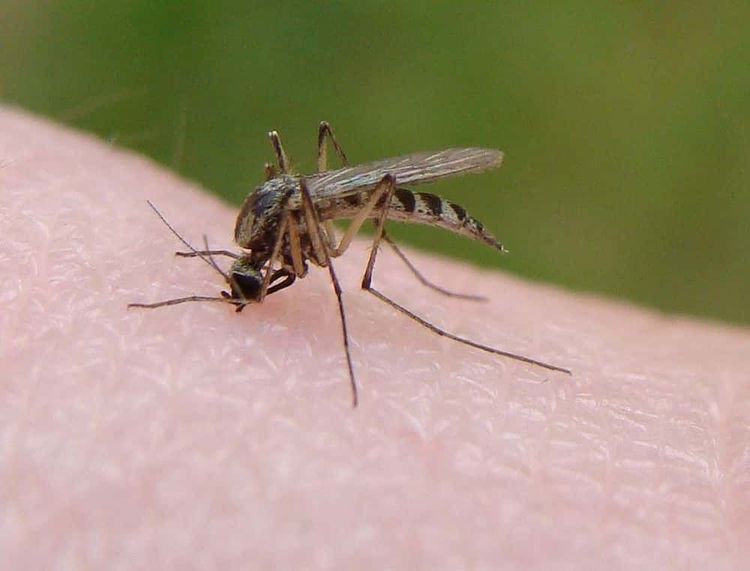 image-20260127125051-8