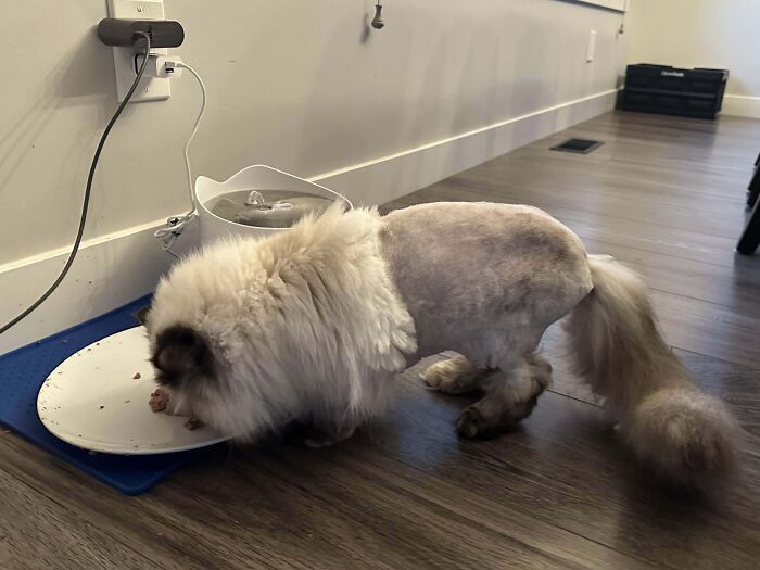 image-20260127144711-1