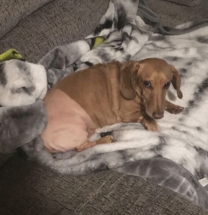 image-20260127144724-5