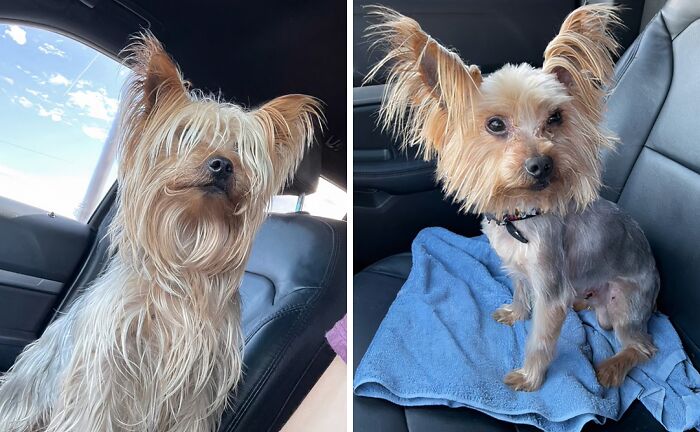 image-20260127144736-9