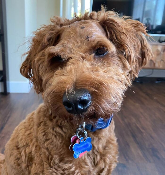 image-20260127144741-11