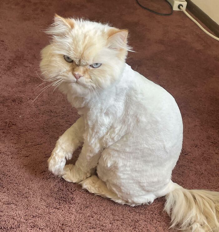 image-20260127144756-15