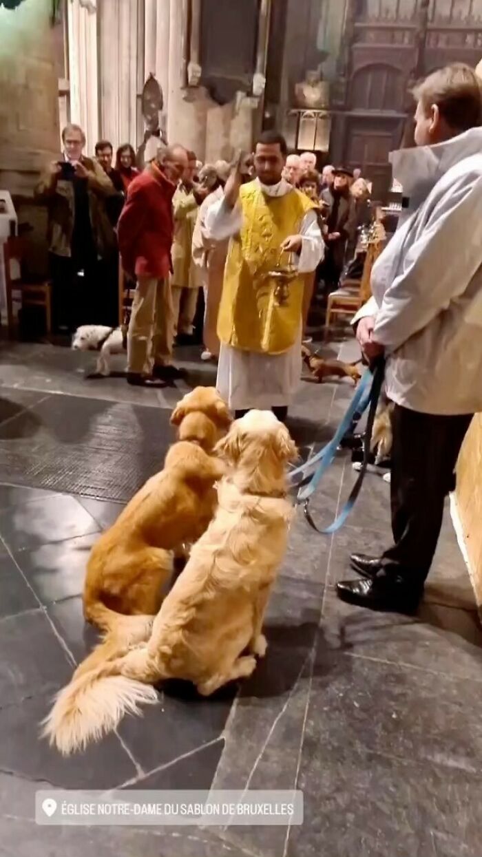 image-20260128140837-1