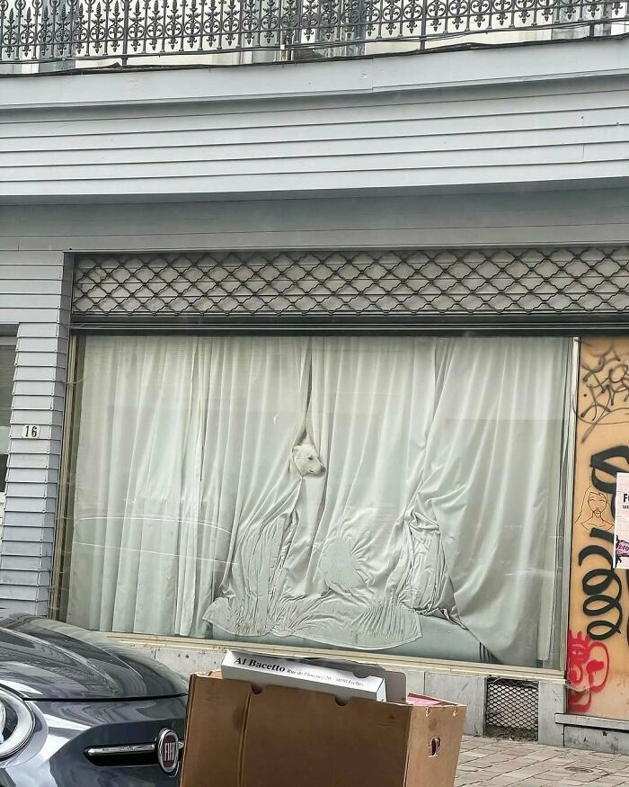 image-20260128141026-17