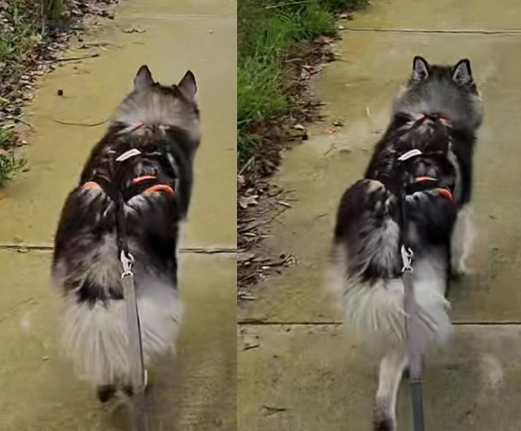 image-20260128170526-1