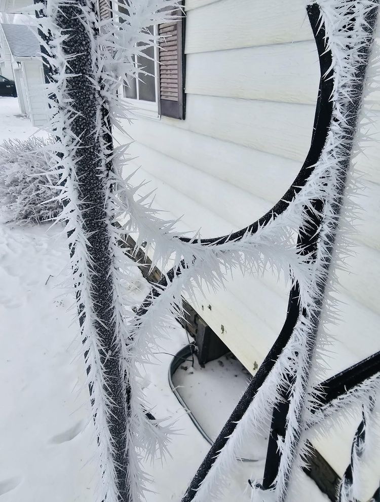 image-20260128170723-9