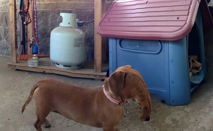 image-20260129124003-1