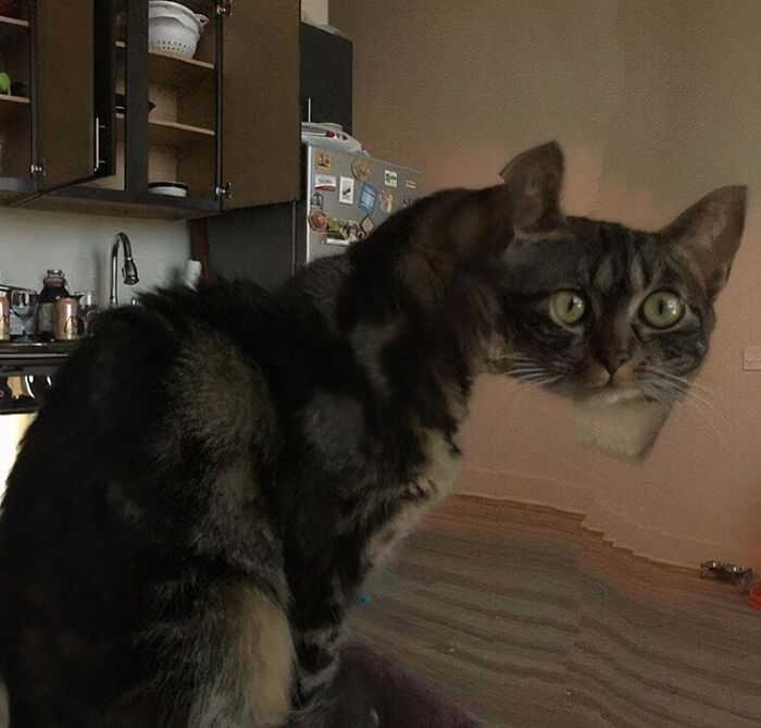 image-20260129124026-6