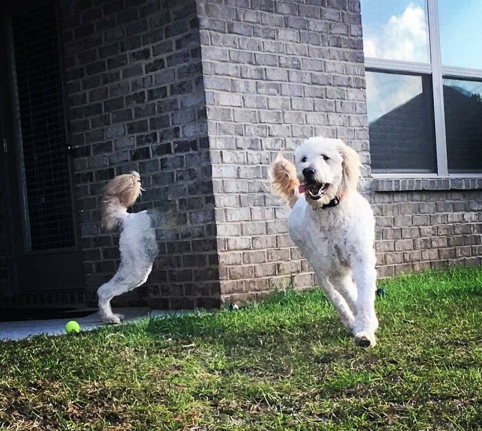 image-20260129124046-13