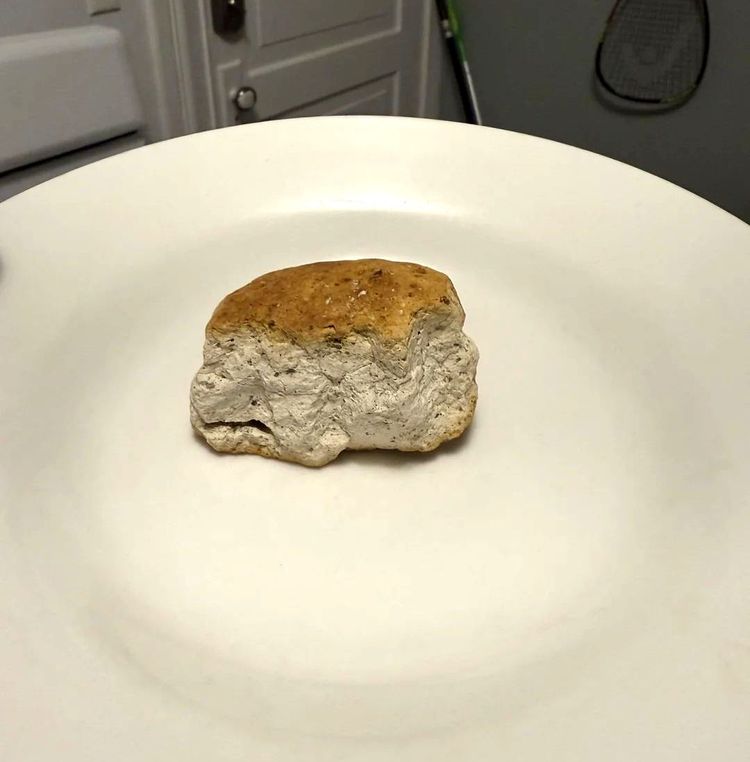 image-20260129133304-2