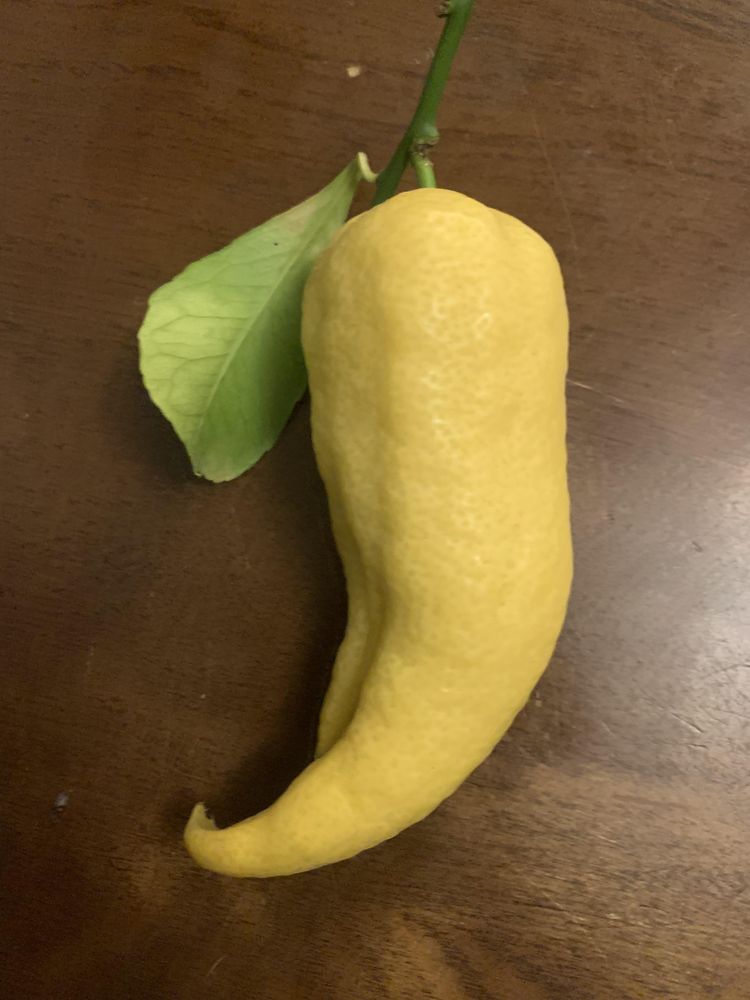 image-20260129133309-4