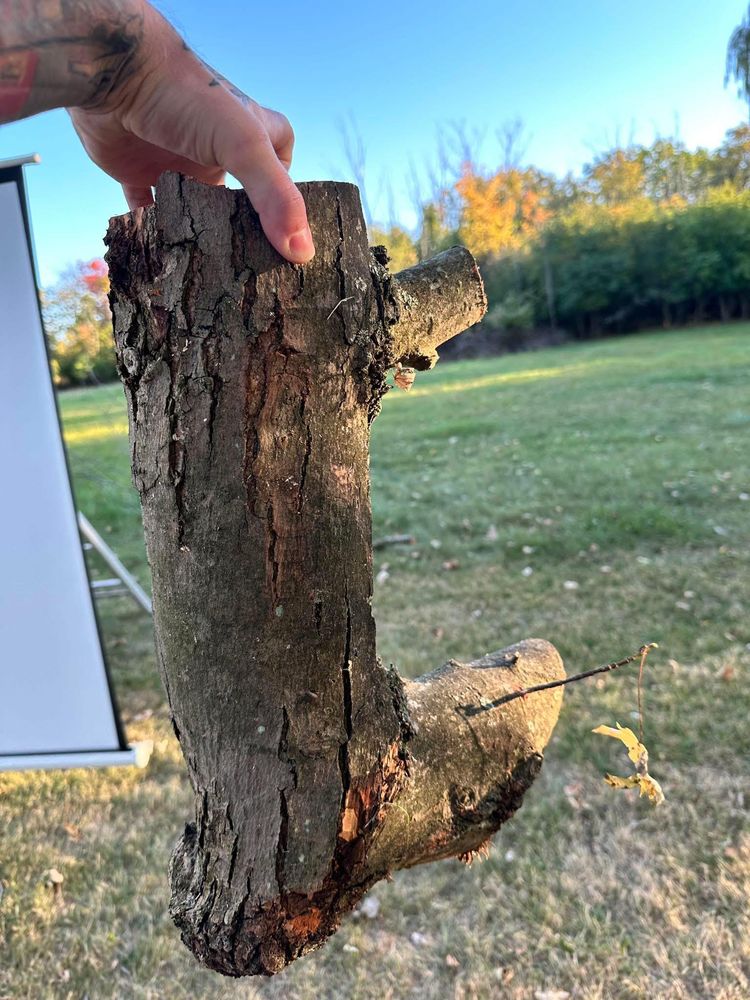 image-20260129133321-8