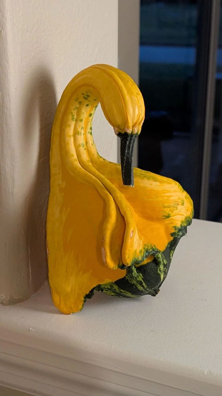 image-20260129133330-11