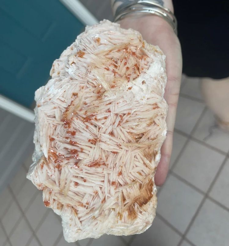 image-20260129133333-12