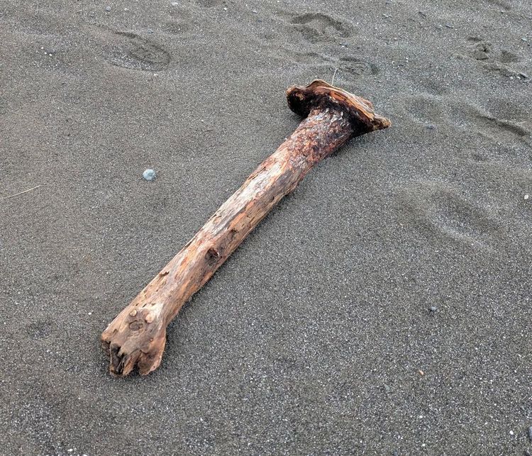 image-20260129133352-13