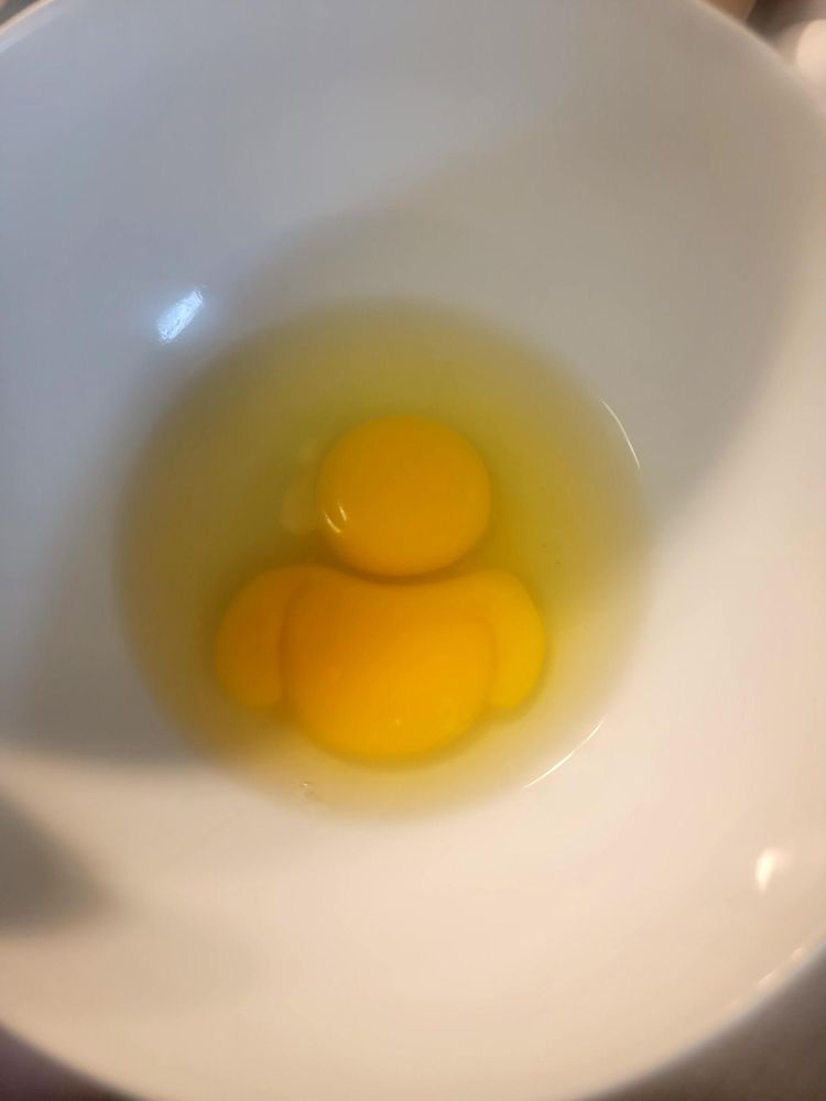 image-20260129133404-17