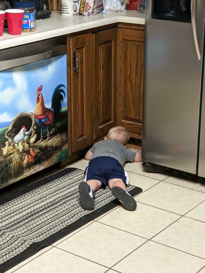 image-20260129172919-4