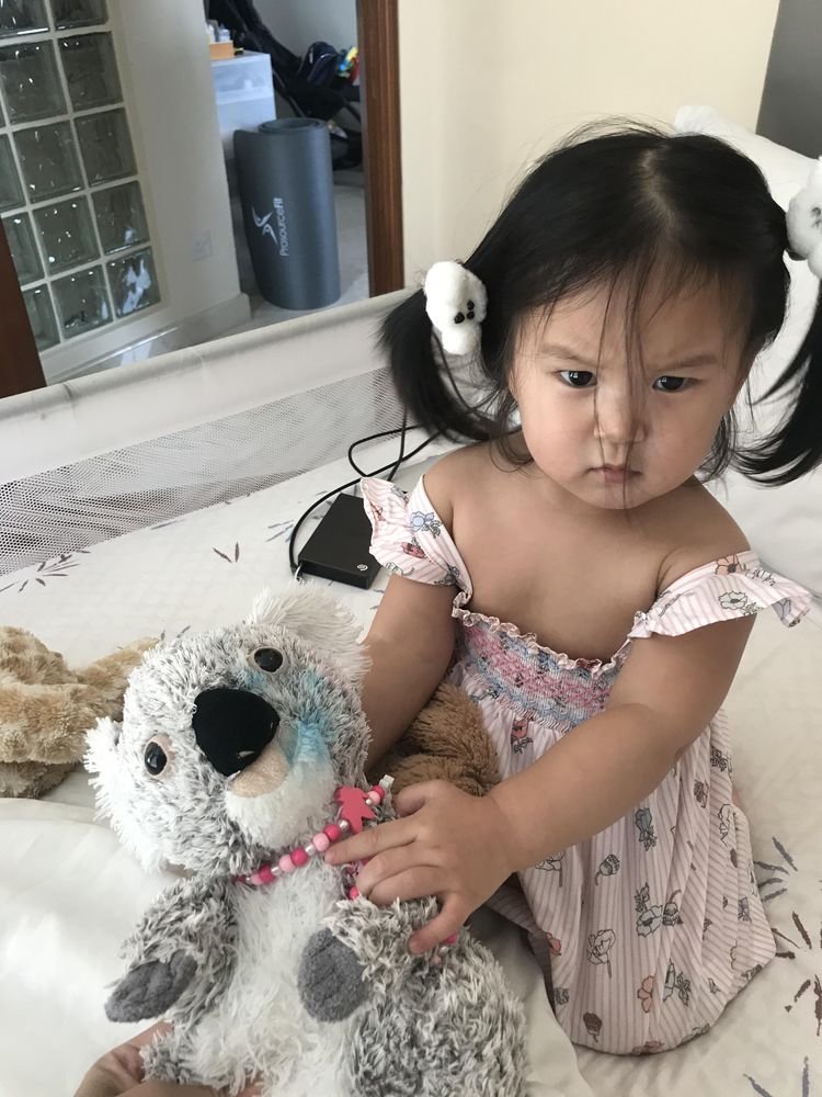 image-20260129173236-9