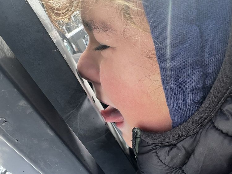 image-20260129173242-11