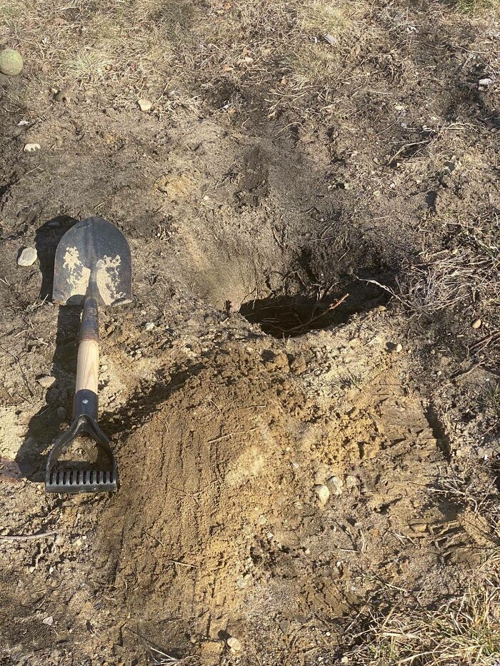 image-20260129173251-14