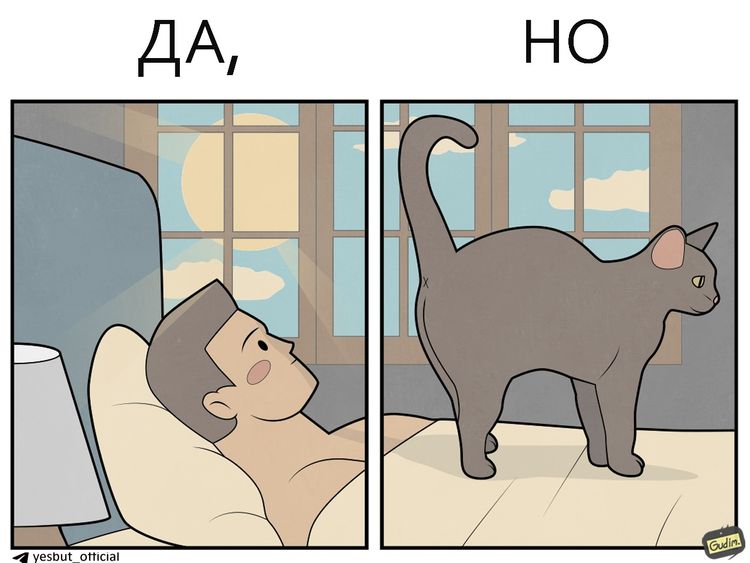 image-20260130111704-12