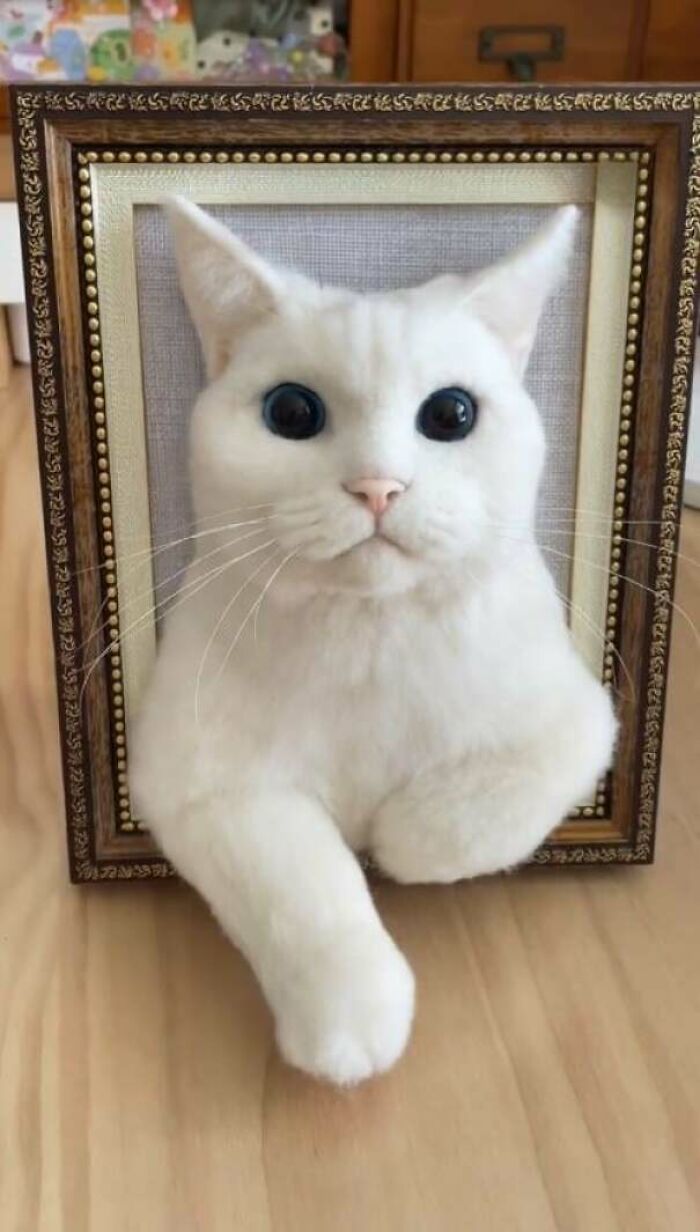 image-20260202190516-1