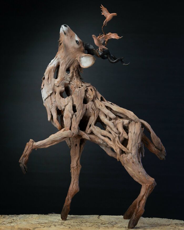 image-20260202190710-8