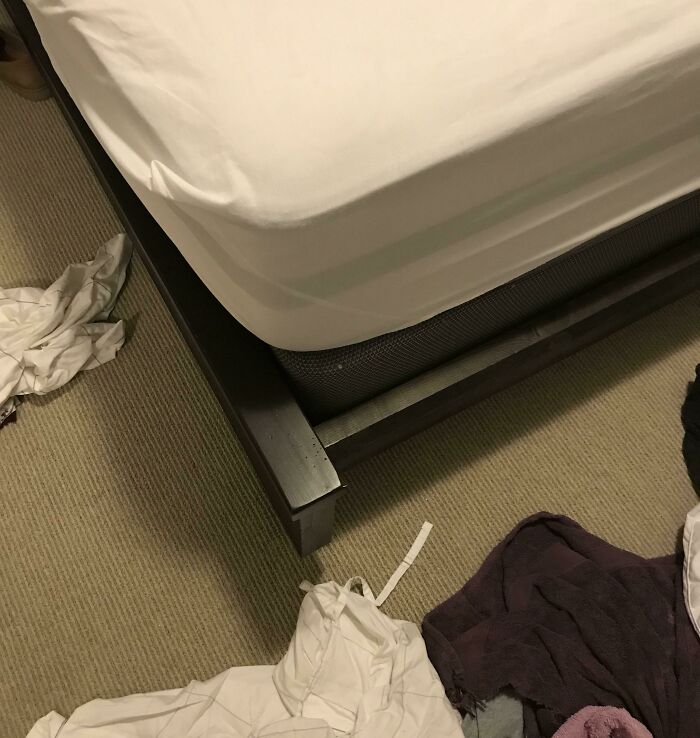 image-20260202202414-3