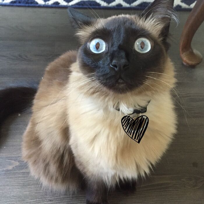 image-20260203222056-10