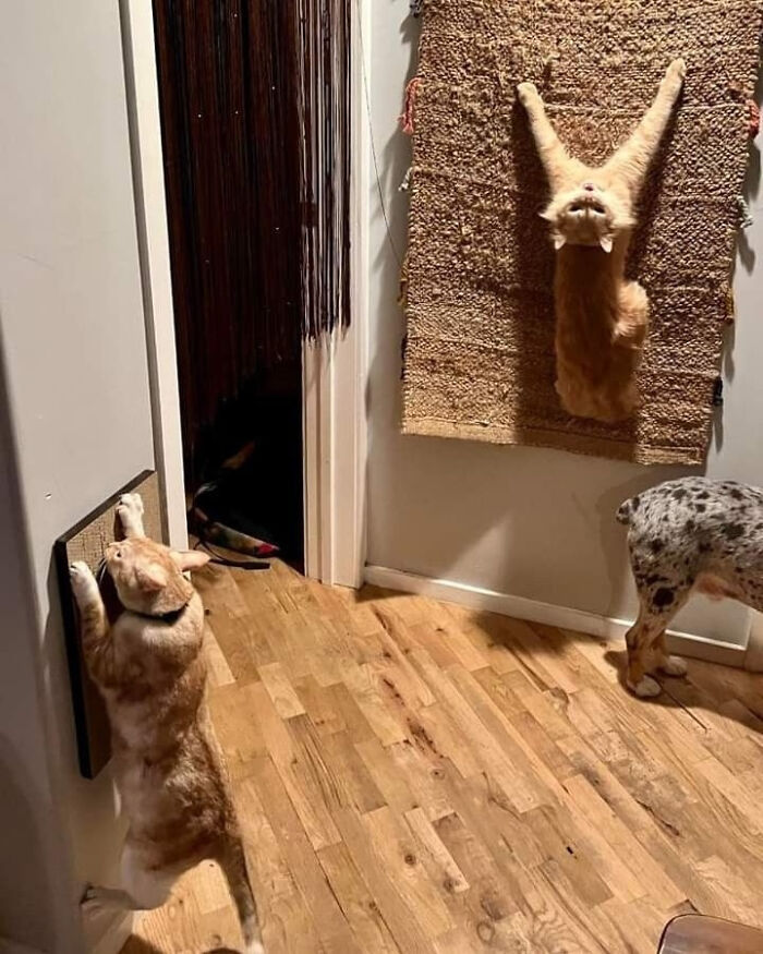 image-20260203222058-11