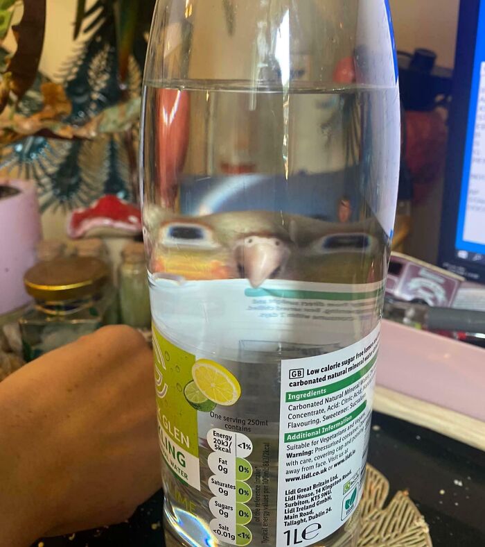 image-20260203222114-17