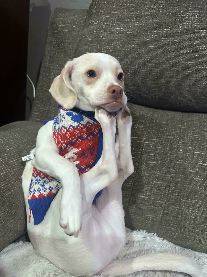 image-20260203222117-18