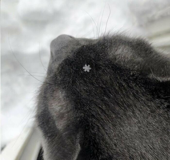 image-20260204133050-3