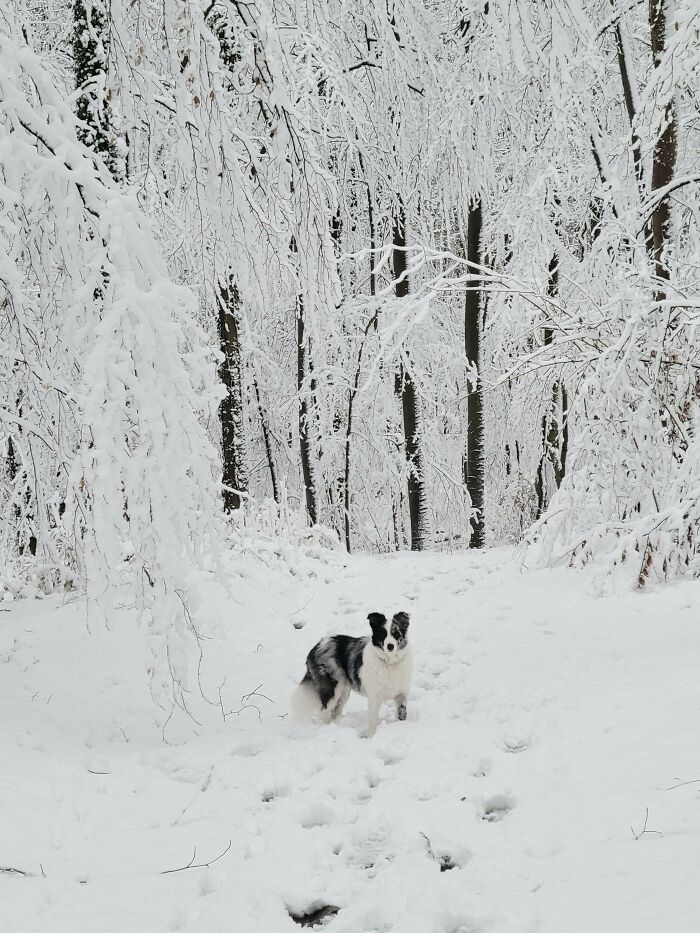 image-20260204133108-8