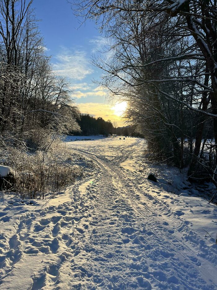 image-20260204133417-15