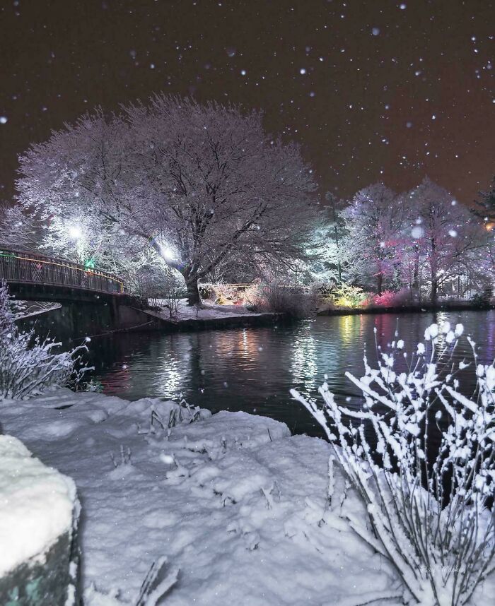 image-20260204133419-16