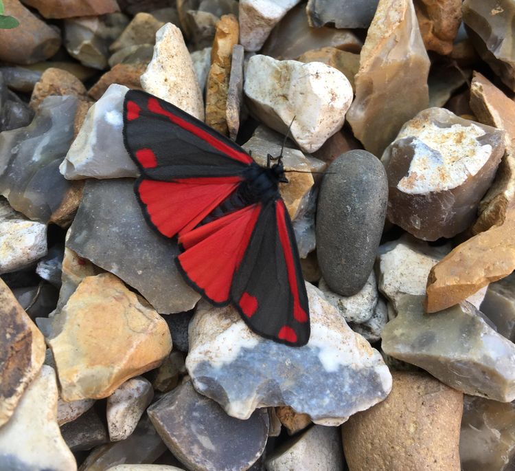 image-20260204145404-2