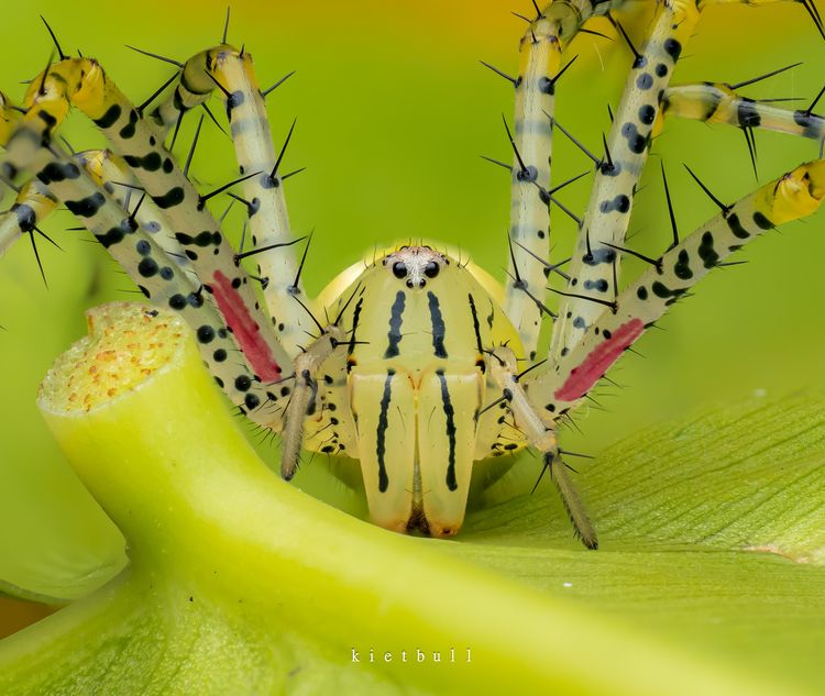 image-20260204145409-4