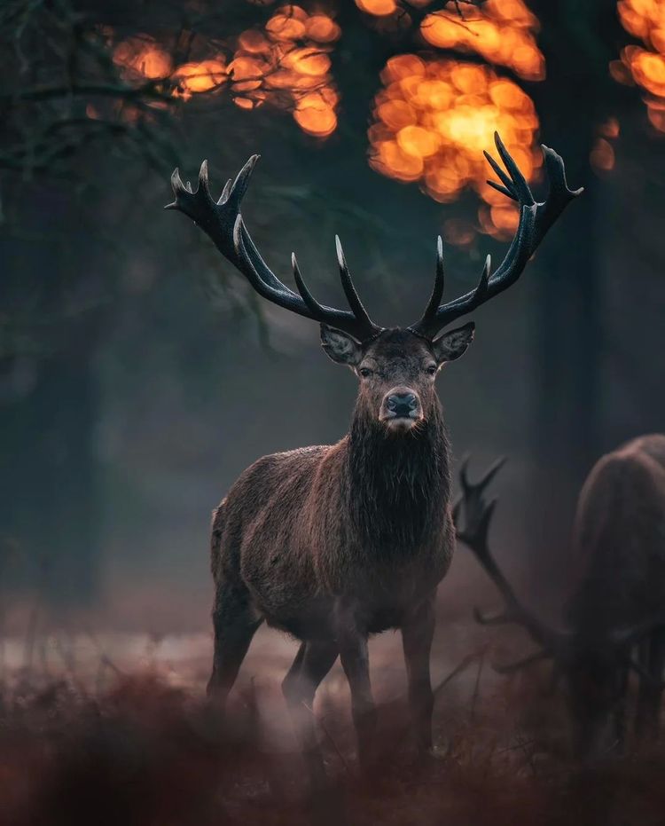 image-20260204145416-5